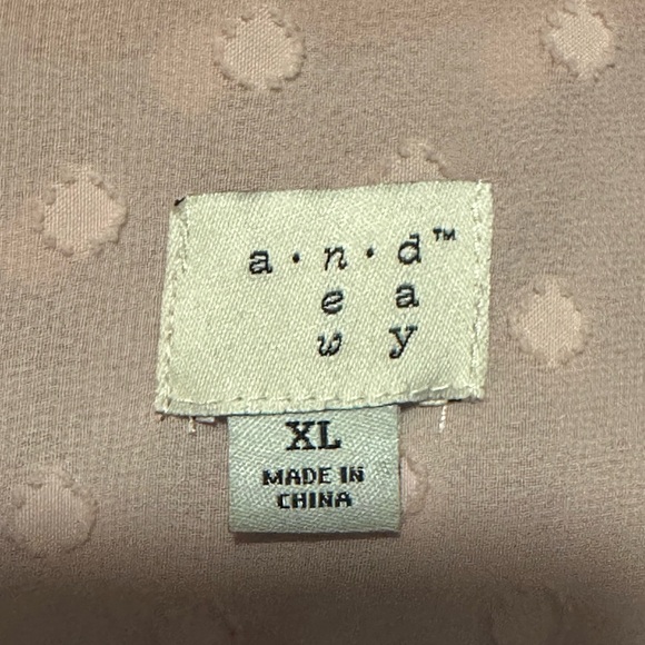 A New Day Sheer Blush Polka Dot Button Up Blouse - Picture 6 of 6